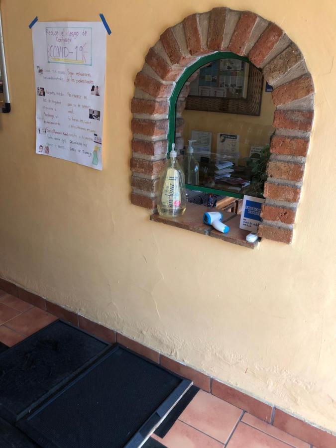 勒托诺住宿加早餐旅馆 特拉克帕克 外观 照片